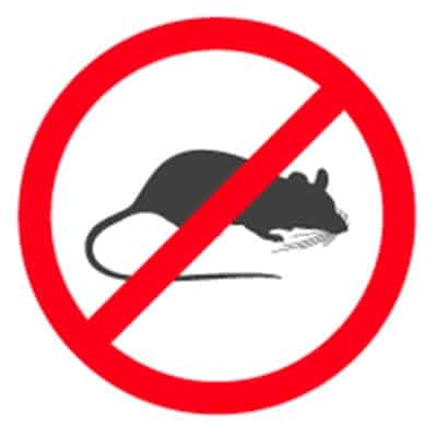 Rat Rodent Exterminators Santa Barbara CA