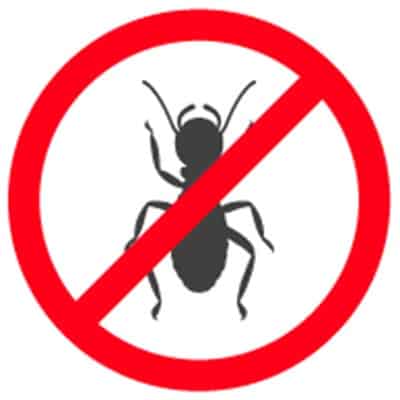 Ant Exterminators Santa Barbara CA