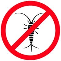 Silverfish Pest Control Santa Barbara CA