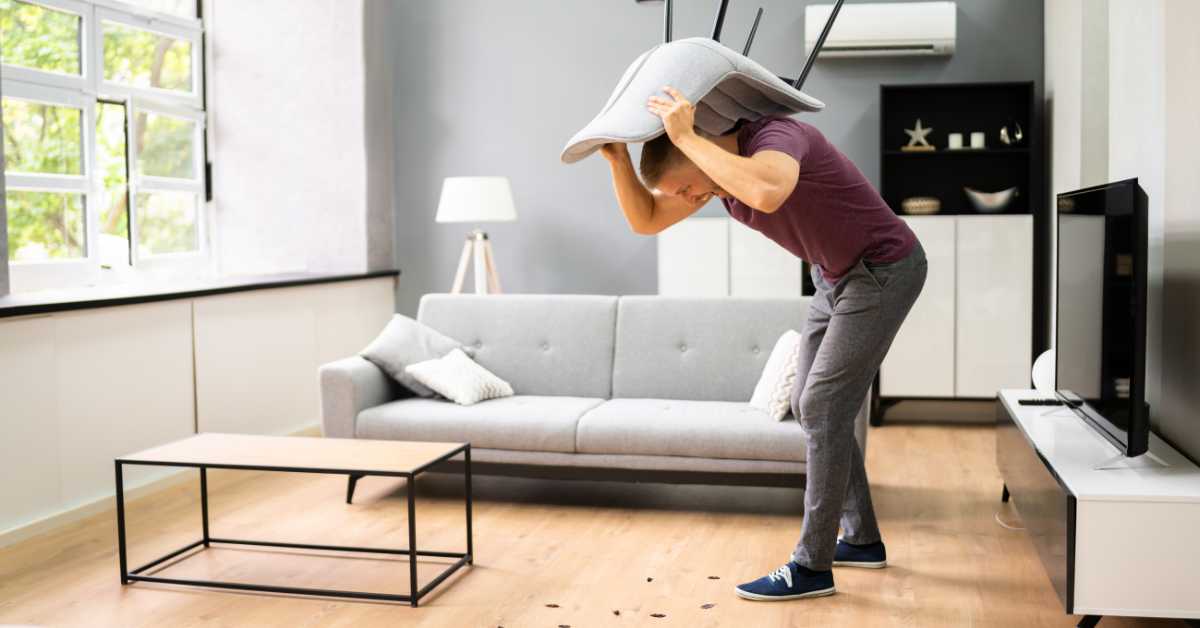 How to Get Rid of Cockroaches