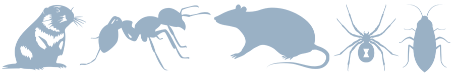 Pest Control in Buellton Pest Control in Buellton
