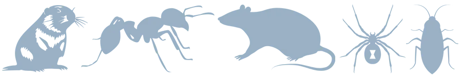 Pest Control in San Ynez Pest Control in San Ynez