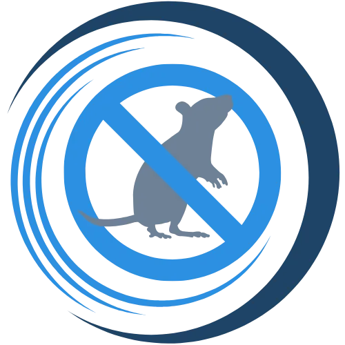 Rat Pest Control in Santa Ynez